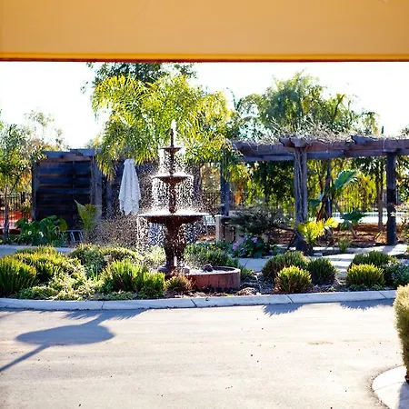 Perricoota Vines Retreat Hotel Moama Room photo