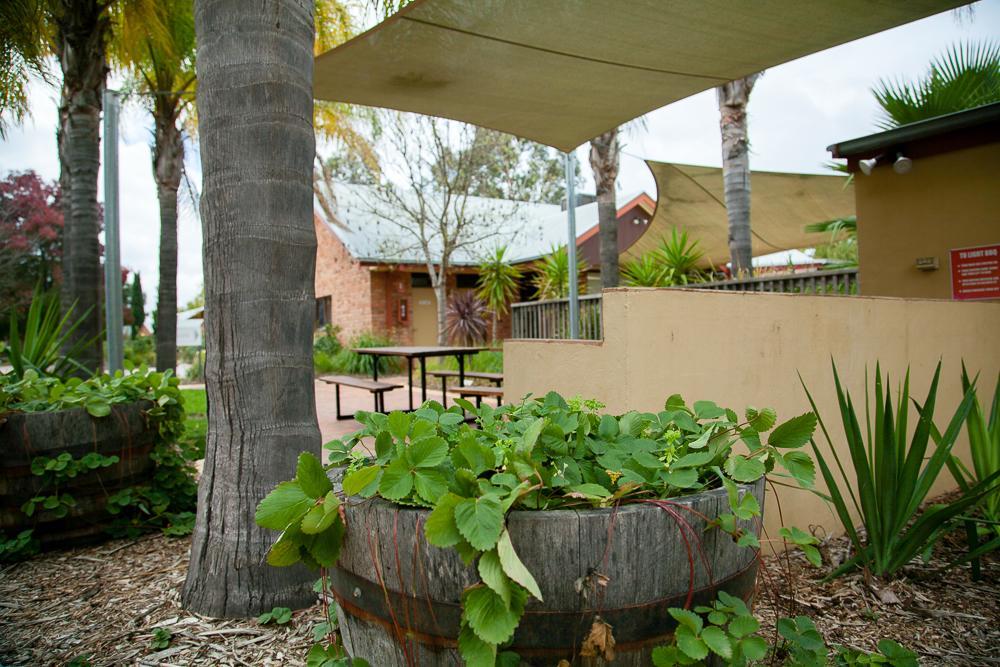 Perricoota Vines Retreat Moama