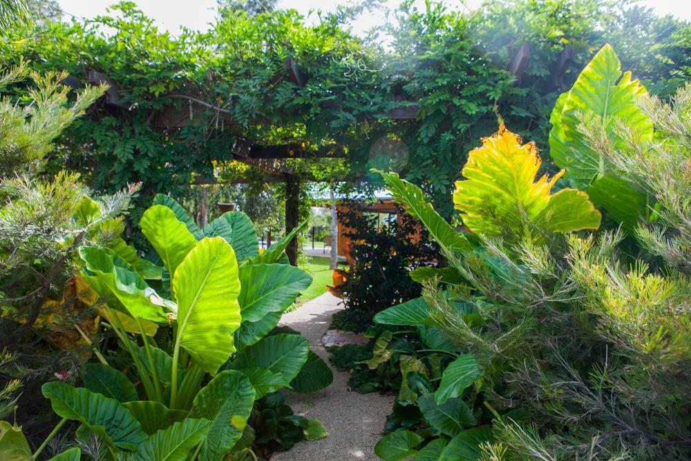 Resort Perricoota Vines Retreat 4*