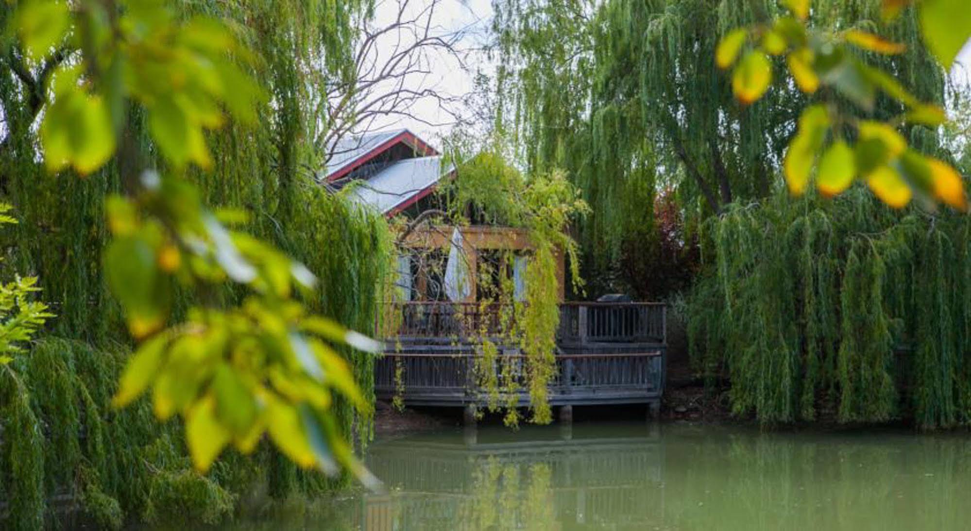Perricoota Vines Retreat 4* Moama