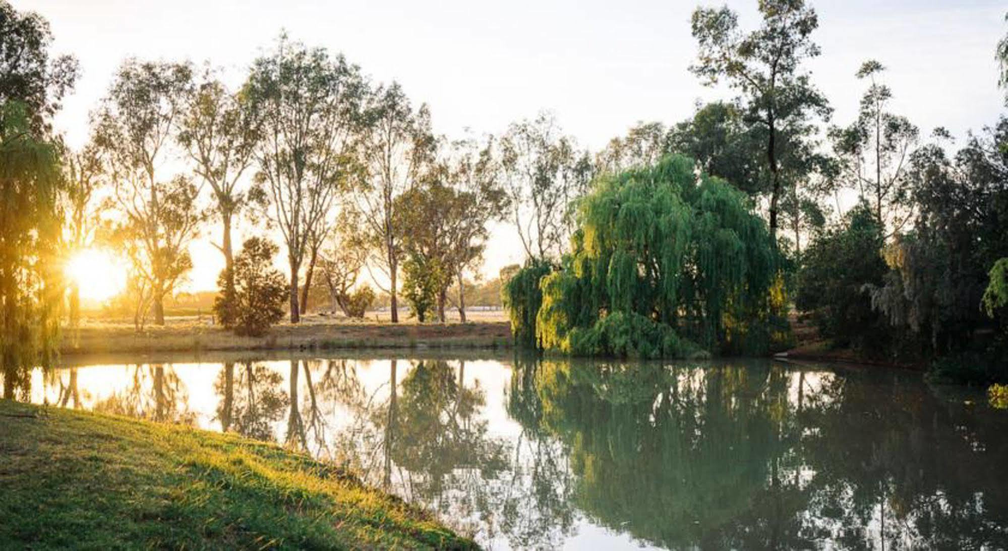 Resort Perricoota Vines Retreat 4*